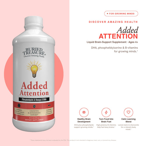 Added Attention – Liquid Supplement for Kids with DHA, B Vitamins & Phospholipids | Brain-Friendly Nutrients in a Natural Raspberry Flavor | 16 oz