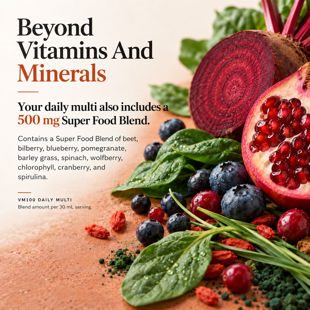 VM100 Liquid Multivitamin and Multimineral Daily Supplement - 100+ Nutrients with Vitamins, Minerals, Antioxidants, and Superfoods - 32 oz